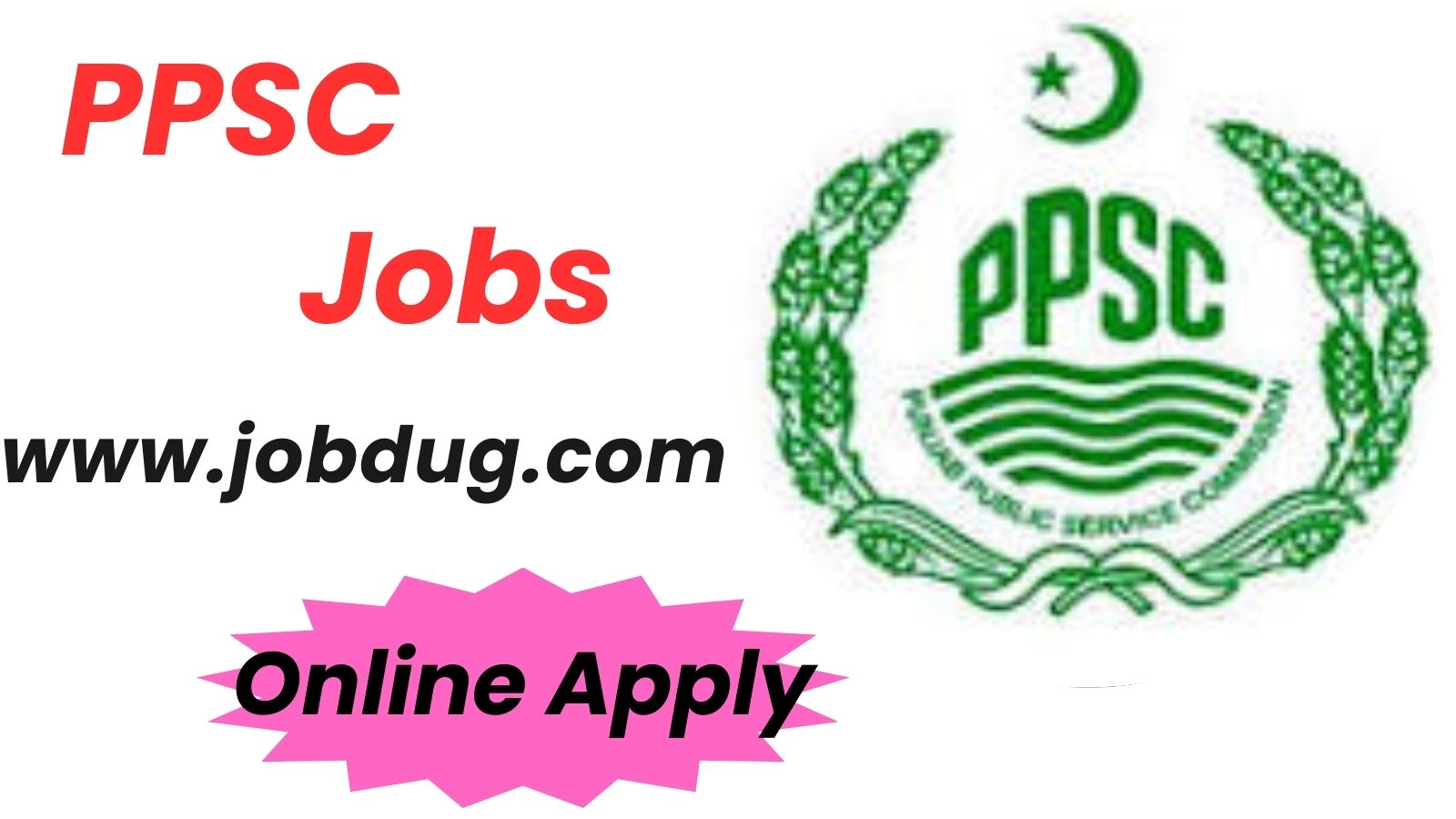 PPSC Jobs