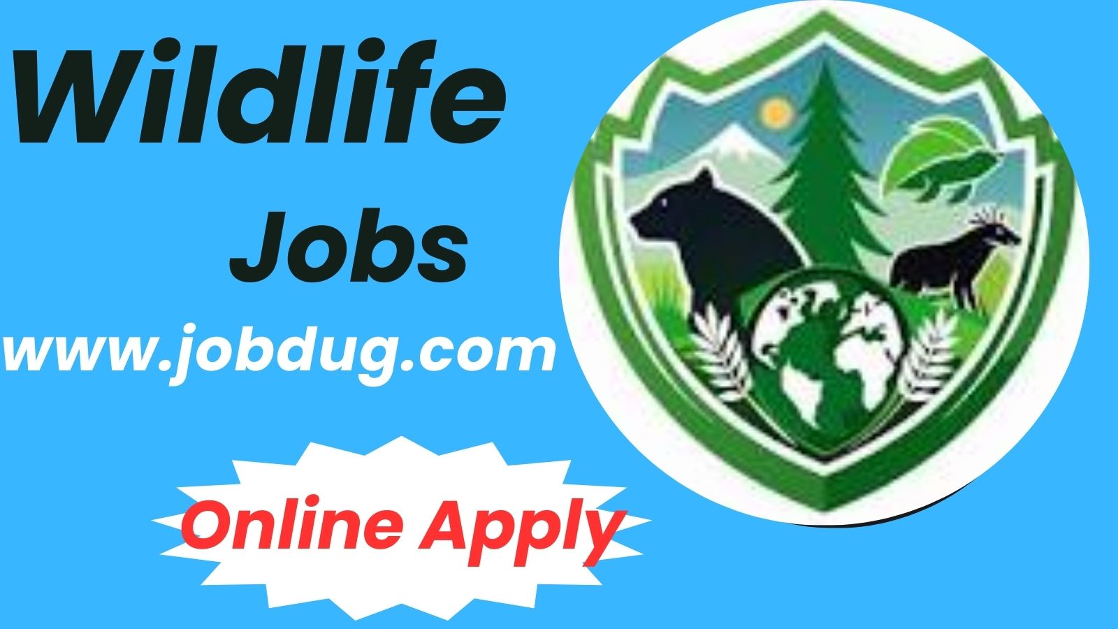 Wildlife Jobs 2025