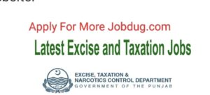 Latest Excise and Taxation Jobs 2025 -Apply now
